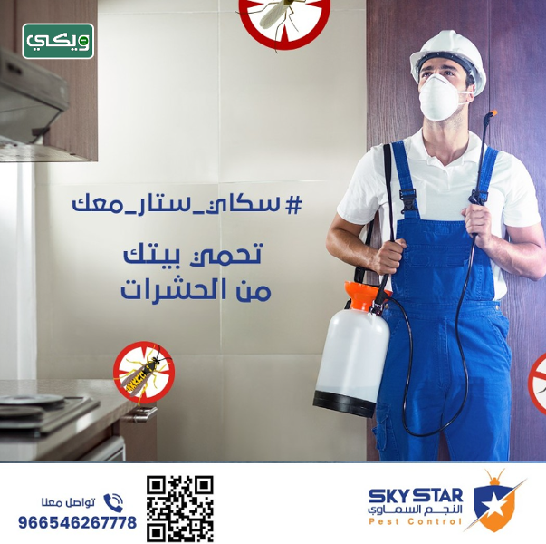 شركة النجم السماوي