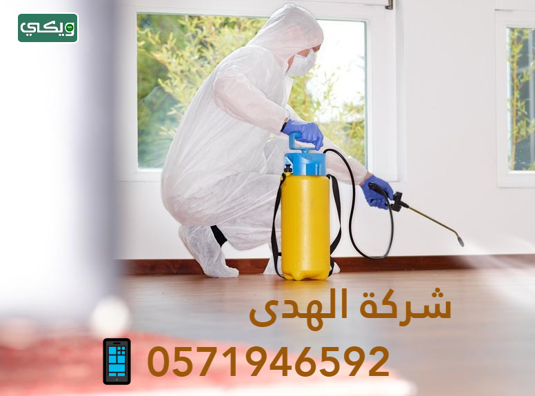 شركة الهدى