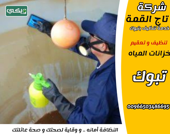 شركة تاج العرب