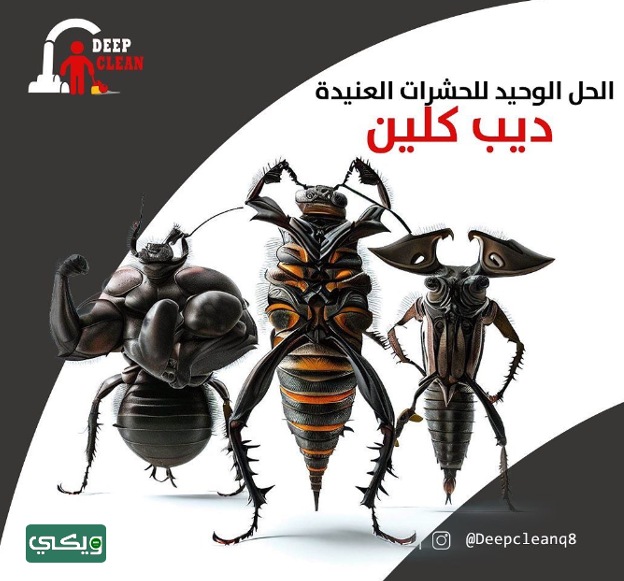 شركة ديب كلين Deep clean