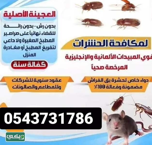 شركة ركين المثالية