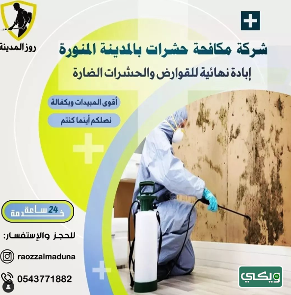 شركة روز المدينة