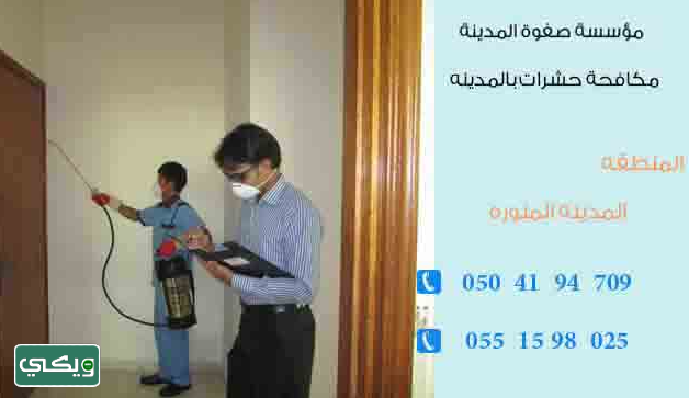 شركة صفوة المدينة