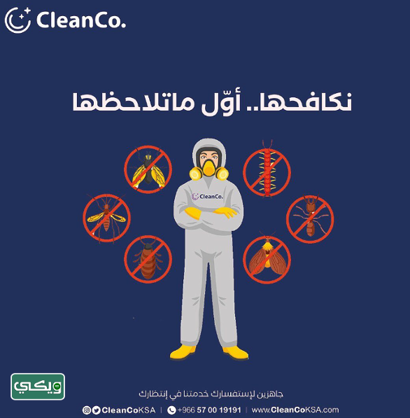 شركة كلين كو Clean Co