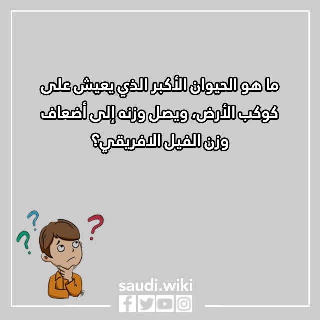 صور اسئلة مسابقات عائلية حماسية 2023