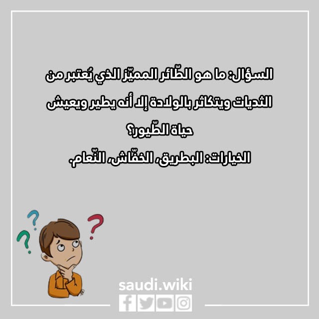 صور اسئلة مسابقات مضحكة للكبار