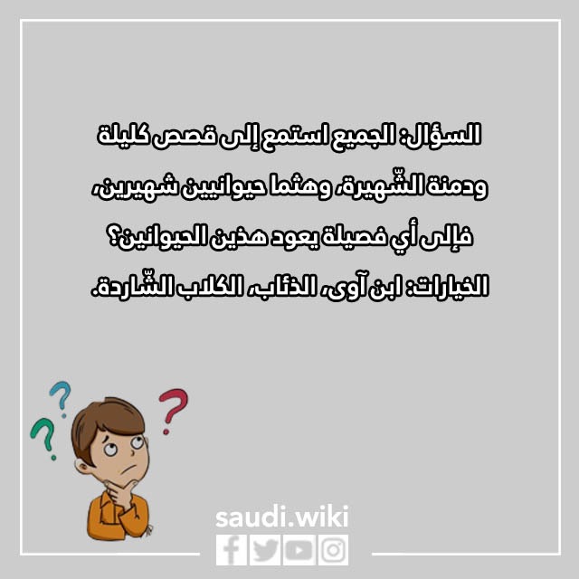 صور اسئلة مسابقات مضحكة للكبار