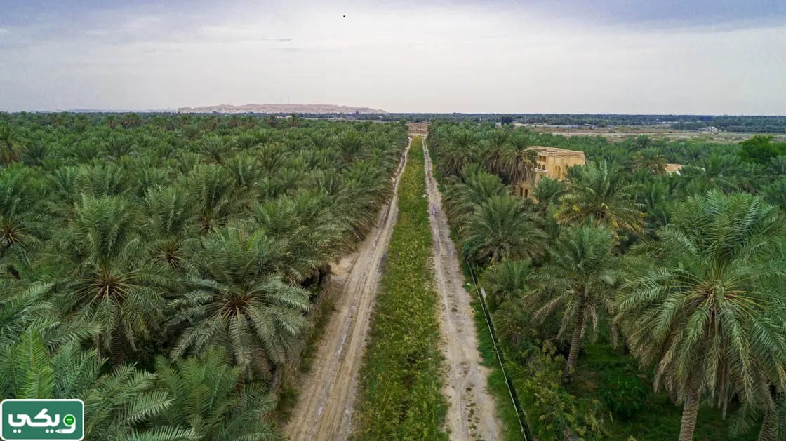 ما هي المواقع الأثرية السعودية في قائمة اليونسكو