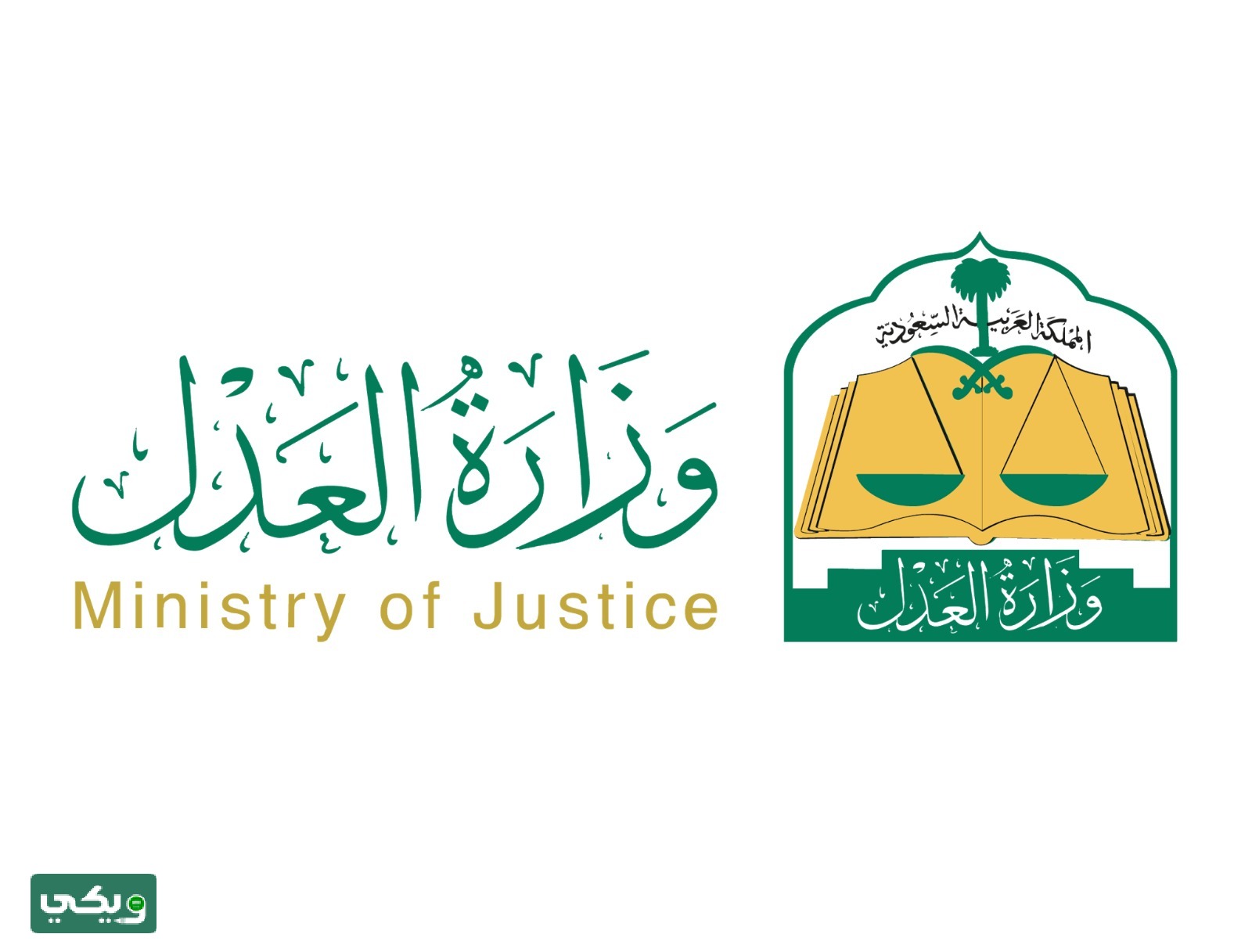 نموذج رفع دعوى قضائية
