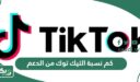 كم نسبة التيك توك من الدعم
