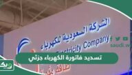 تسديد فاتورة الكهرباء جزئي أو تقسيط الفاتورة على دفعات