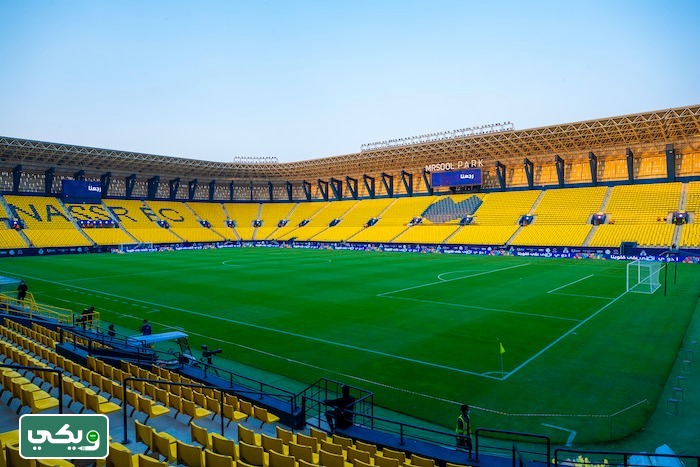 ملعب نادي النصر الجديد بالصور