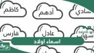 اسماء اولاد جديدة ومعانيها 2026 ستقع بحبها عند معرفة معانيها