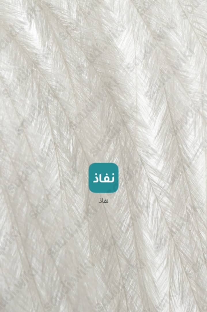 تغيير رقم الجوال في ابشر عن طريق الجوال عبر تطبيق نفاذ 2023