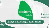 طريقة معرفة رصيد شريحة سلام موبايل 1447