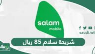 شريحة سلام 85 ريال 1447 شريحة سلام سولو 74