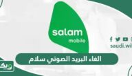 طريقة الغاء البريد الصوتي سلام موبايل 1447
