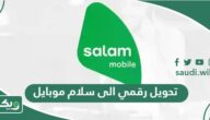 طريقة تحويل رقمي الى سلام موبايل 1447