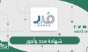 طريقة استخراج شهادة مدد وأجور مشترك من موقع التأمينات الاجتماعية