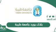 بلاك بورد جامعة طيبة lms.taibahu.edu.sa
