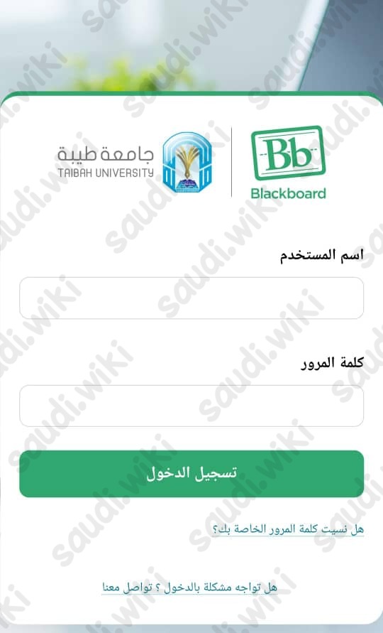 خطوات تسجيل دخول بلاك بود جامعة طيبة