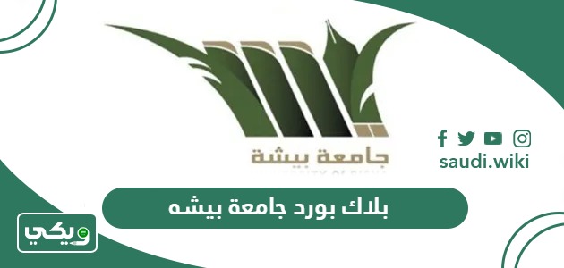 بلاك بورد جامعة بيشه sso.ub.edu.sa