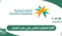 المقابل المالي في رخص العمل pdf