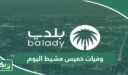 الاستعلام عن وفيات خميس مشيط اليوم