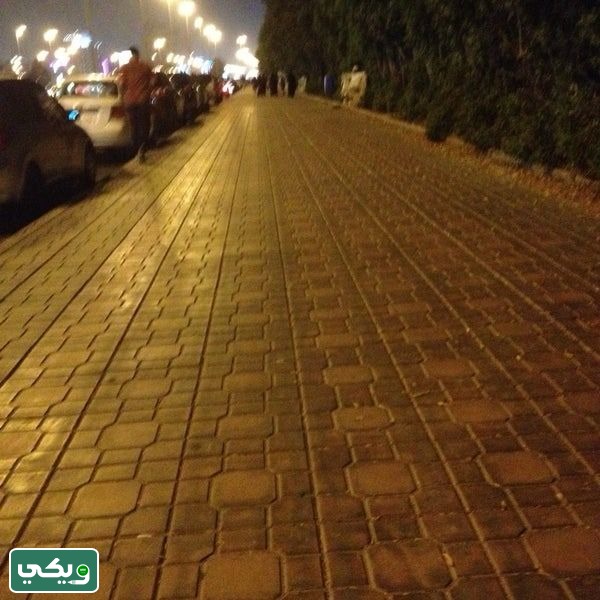 ممشى حديقة الأمير ماجد بالصور
