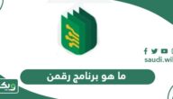ما هو برنامج رقمن وما هي مميزاته وطرق الربح منه 2026