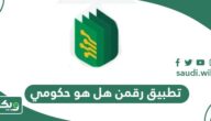 تطبيق رقمن هل هو حكومي أم غير حكومي؟