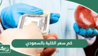 كم سعر الكلية بالسعودي 2026
