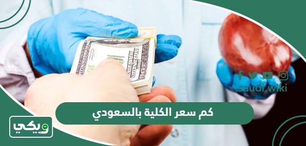 كم سعر الكلية بالسعودي 2026