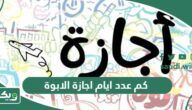 كم عدد ايام اجازة الابوة في السعودية
