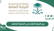 دور النيابة العامة في القضايا الجنائية