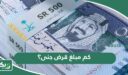 كم مبلغ قرض جنى؟