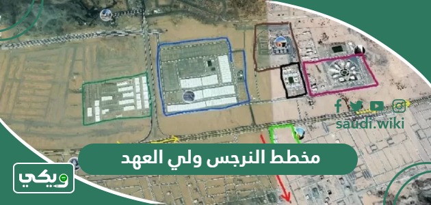 مخطط النرجس ولي العهد