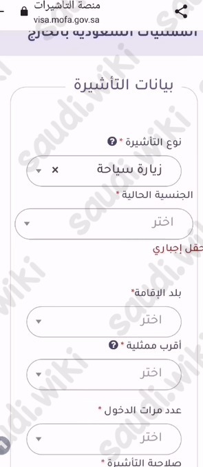 طريقة استخراج التأشيرة الإلكترونية من القنصلية السعودية