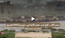 كيف تعيد التقارير المصورة بناء الثقة في الخدمات الرقمية؟