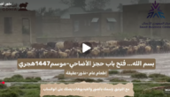 كيف تعيد التقارير المصورة بناء الثقة في الخدمات الرقمية؟