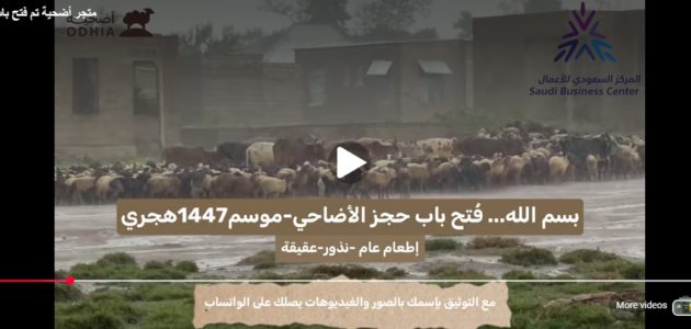 كيف تعيد التقارير المصورة بناء الثقة في الخدمات الرقمية؟